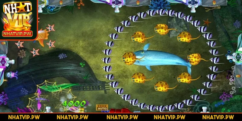 Nắm rõ luật chơi sẽ giúp bạn tham gia được hiệu quả hơn